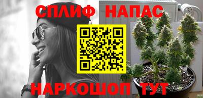 кокс Боровичи